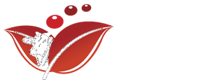 GS